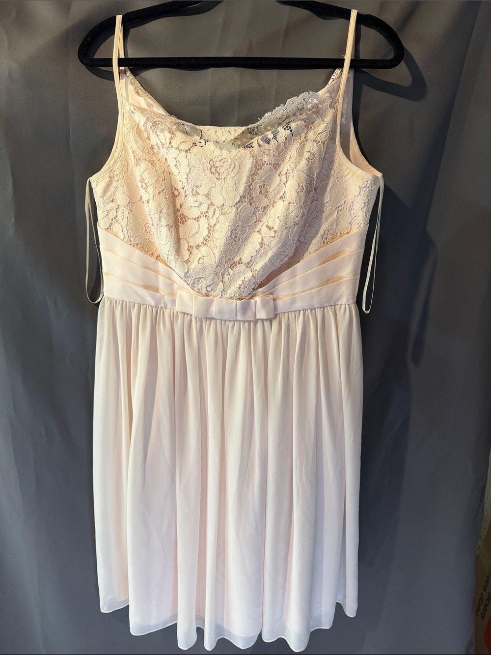 Ted Baker London Pale Blush Lace & Chiffon Slip Dress